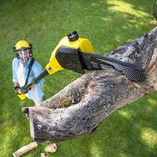 Best Lawn Mowing Services  in Auburn Lake Trails, CA